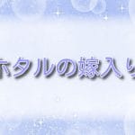 ホタルの嫁入り